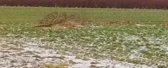 BUDOWA ŁĄCZNIKA DROGI KRAJOWEJ Z AUTOSTRADĄ